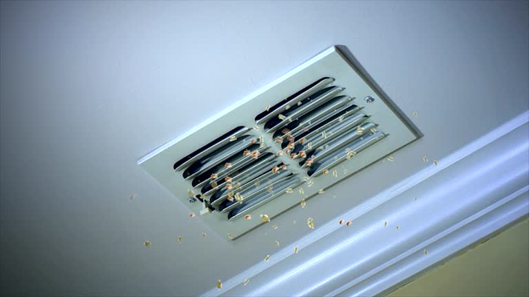 Best Affordable Air Duct Cleaning  in Miramar Beach, FL