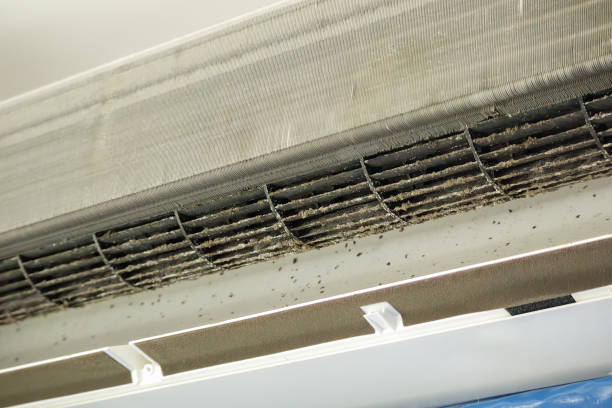 Best Home Air Vent Cleaning  in Miramar Beach, FL